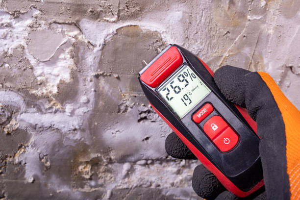 Best Water Damage Restoration  in Decatur, TN